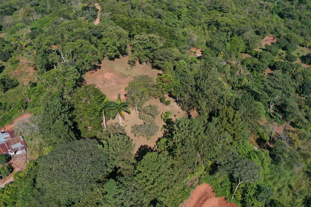 Stunning 2.4 Acre Property in Quebradas San Isidro del General - Gallery image 12