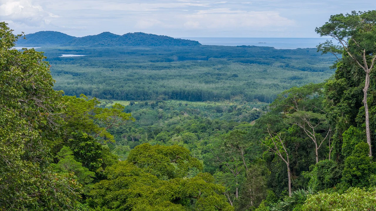 Costa Rican Gem with Conservation Potential: Preserve 26 Acres of Pristine Land - Gallery image 22