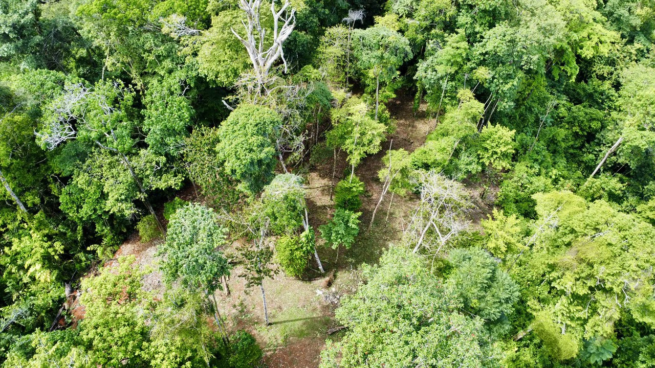 Marvelous Ocean View Parcel in Uvita. - Gallery image 7