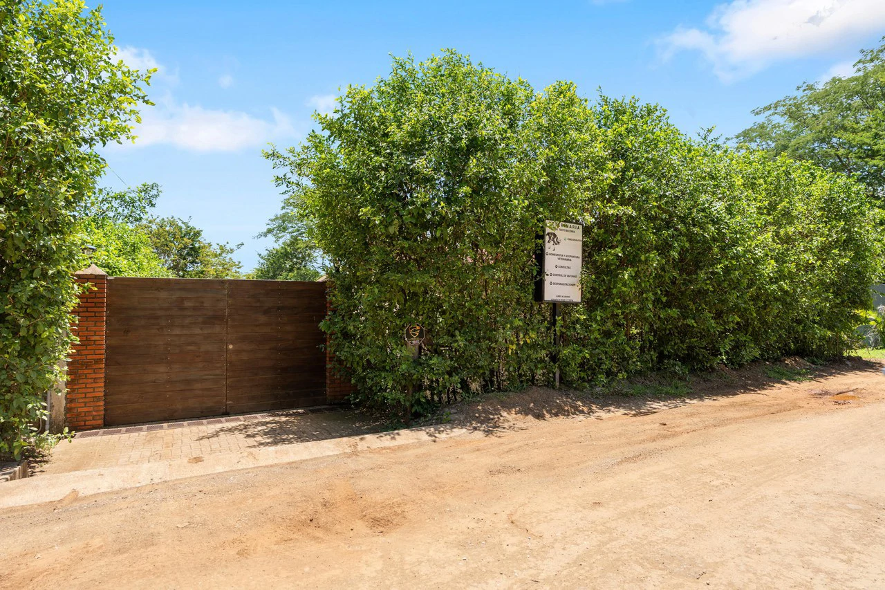 Multi-Home Property: Versatile Estate Near Playa Avellanas - Gallery image 38