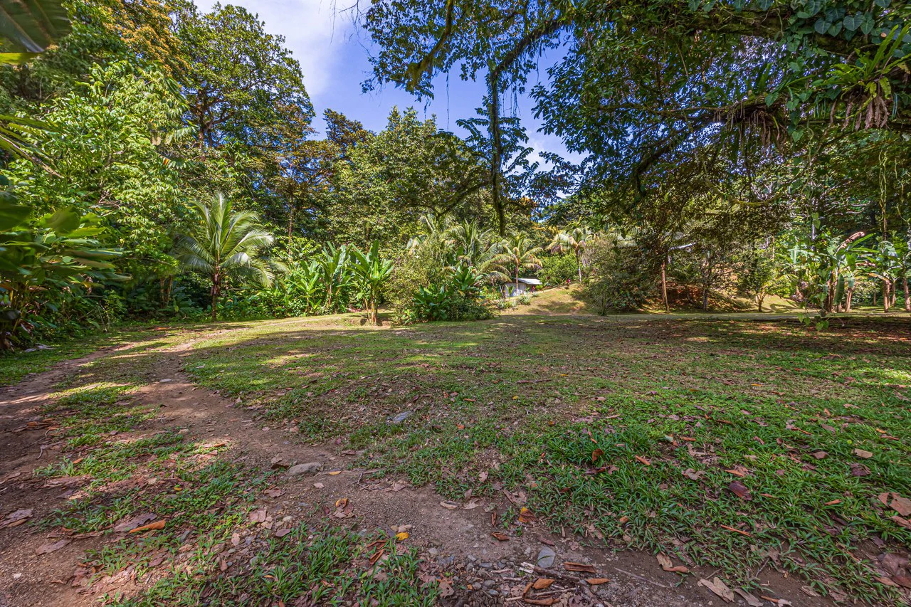 Tropical Hideaway – 7 Acres of Secluded Riverfront with a 3-Bedroom Home: Mountain House For Sale in Bahía Ballena - Gallery image 40