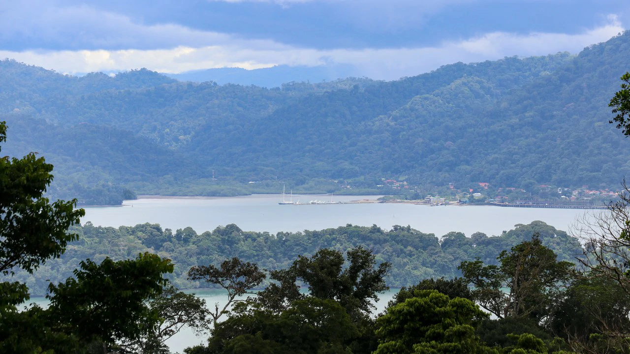 Unique Development Property Overlooking the Pristine Golfito Bay and Golfo Dulce - Gallery image 5