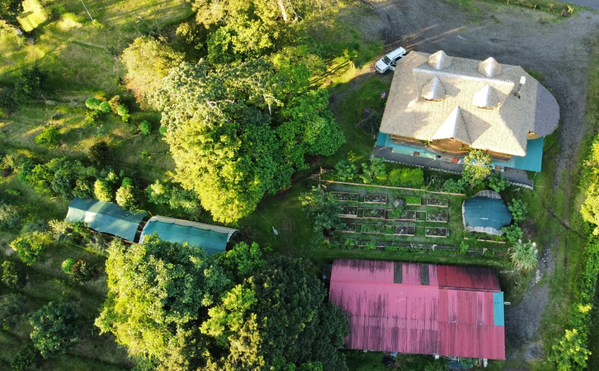 NATURES BOUNTY - Certified Organic Farm - Gallery image 53
