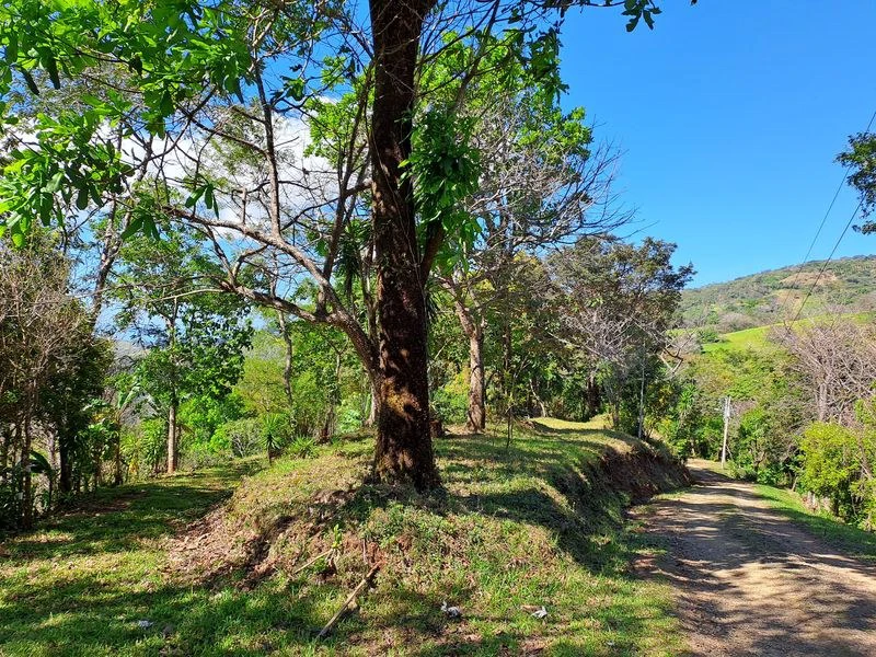 Lotes Mirador: Lotes Mirador, Breathtaking Lots with Stunning Ocean and Mountain Views, Large Building Pads, just 30 minutes from Samara Beach - Gallery image 5
