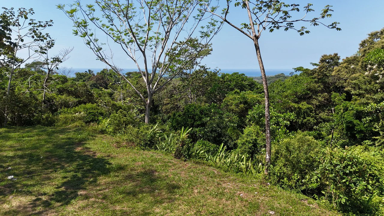 Exceptional Development Opportunity 71 acre Riverfront & Ocean View in Hatillo - Gallery image 21