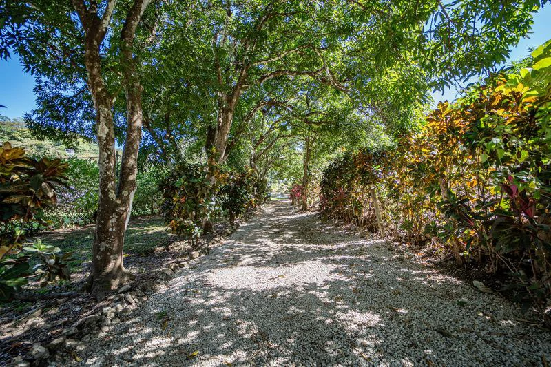 FINCA GABRIELA: Exceptional Opportunity- 9 Hectares (22.5 Acres) of Development Potential with Ocean View Home – Just 3 Minutes from Samara - Gallery image 29