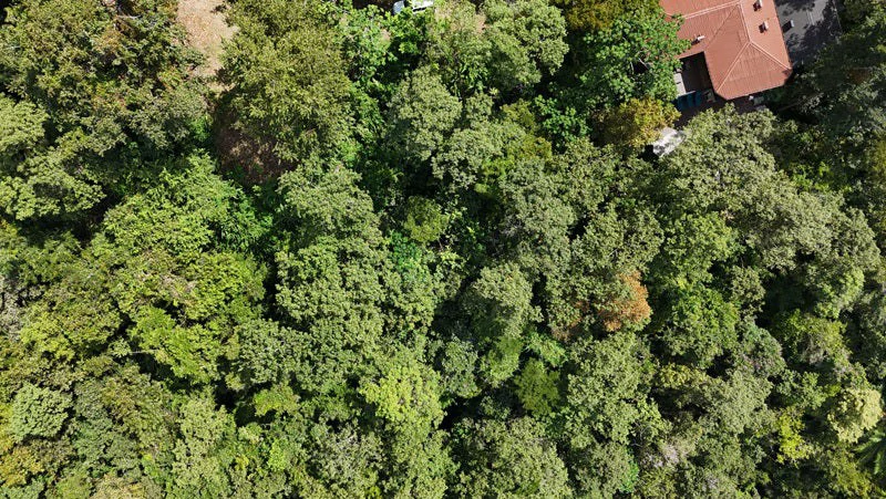 Luxury Gated Ocean-View Land Minutes from Manuel Antonio National Park and Marina - Gallery image 9