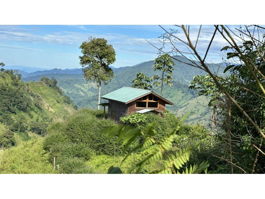 BEAUTIFUL MOUNTAIN VIEW FINCA WITH CABIN IN RIO NUEVO - Gallery image 8