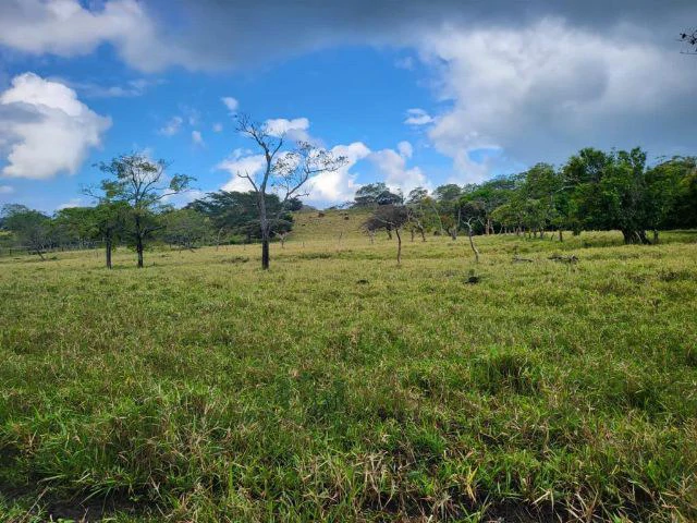 Charming property for sale in Nueva Guatemala with stunning views of the Tenorio Volcano and the beautiful green valleys - Gallery image 10