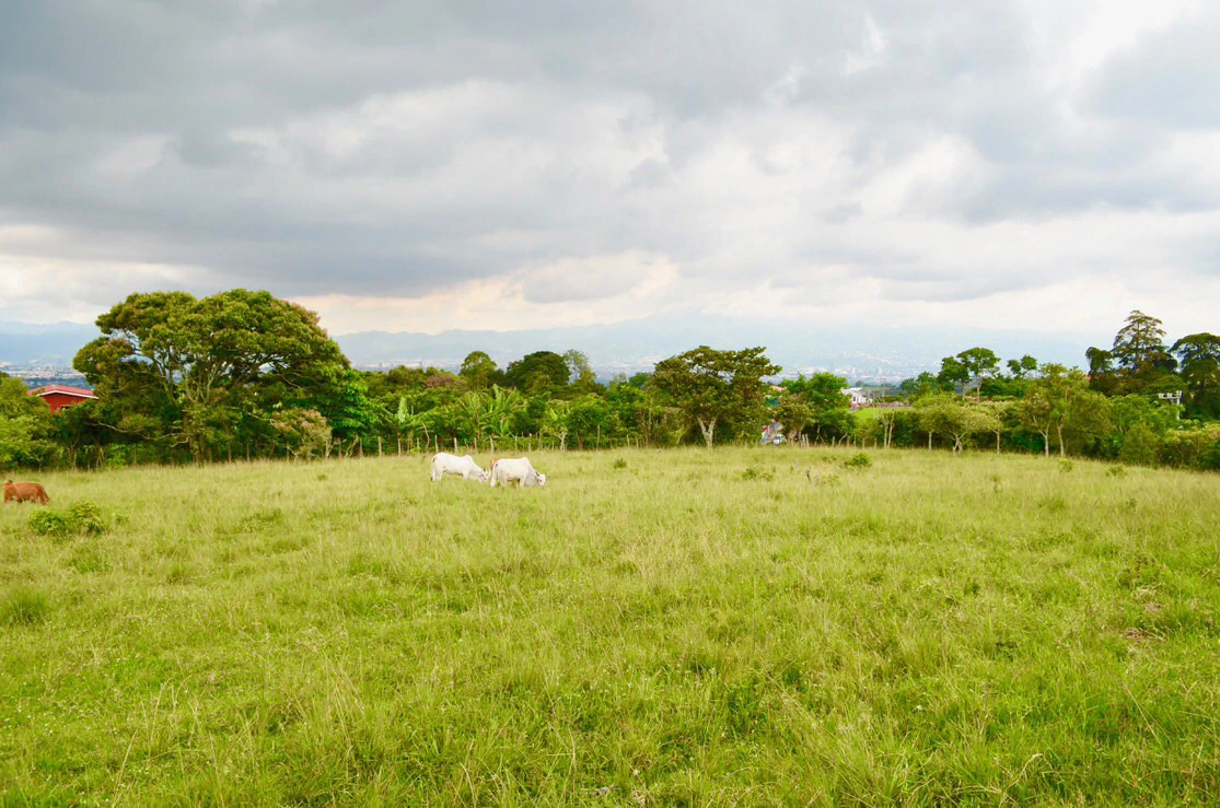 Lote con hermosas vista al valle central Costa Rica: Land for sale in Heredia San Isidro Heredial. - Gallery image 8