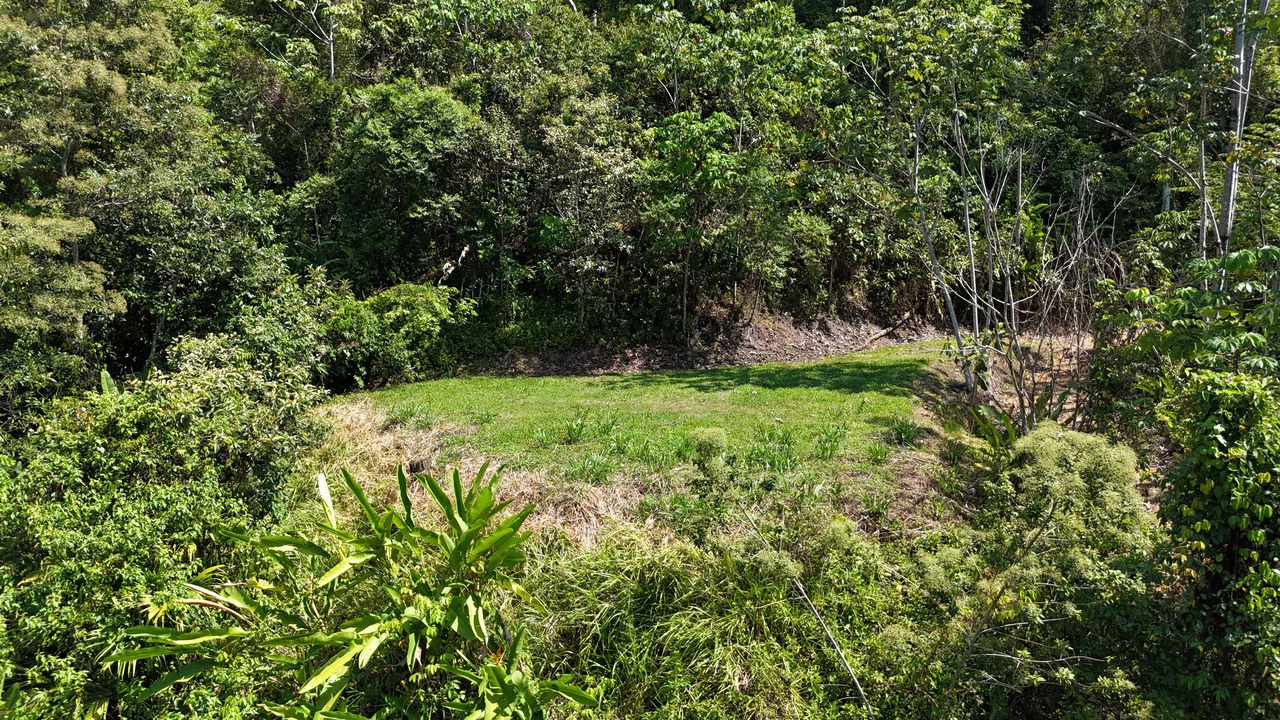 Exceptional Development Opportunity 71 acre Riverfront & Ocean View in Hatillo - Gallery image 18