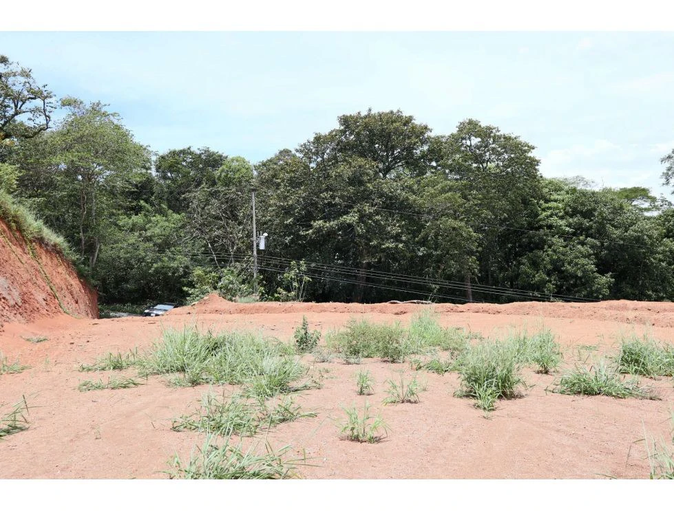 Sale of flat lot in Turrucares - photo 14