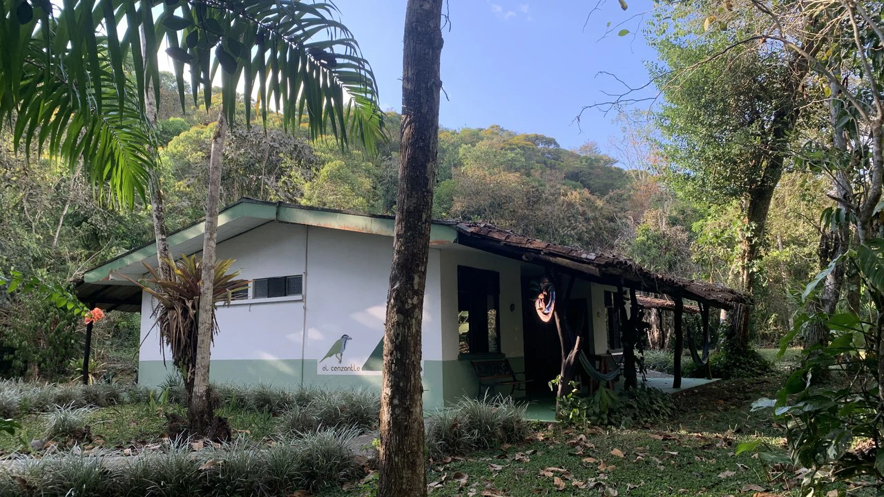 Talari Hotel: Nature and Bird Lover's Paradise - Mountain Lodge - Gallery image 9