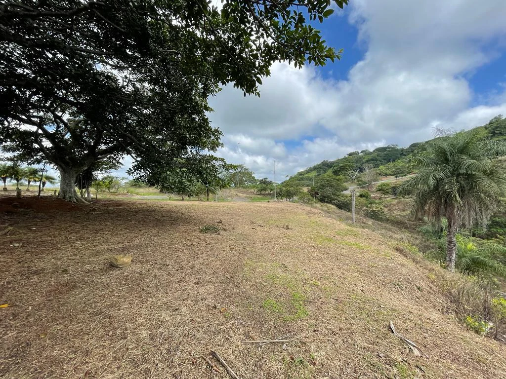 Bargain Lot for sale in Residencial Vista Mar with Ocean and mountain view between San Mateo and Orotina Alajuela Costa Rica - Gallery image 13