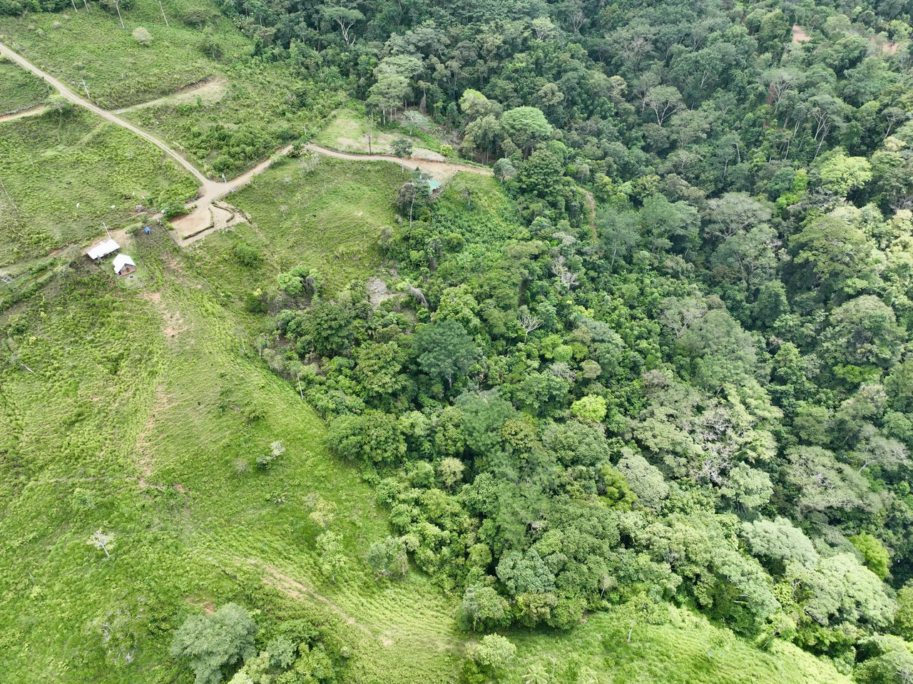 Spring and Waterfall!  3,2 Acres lot in Uvita Mountains - Gallery image 9