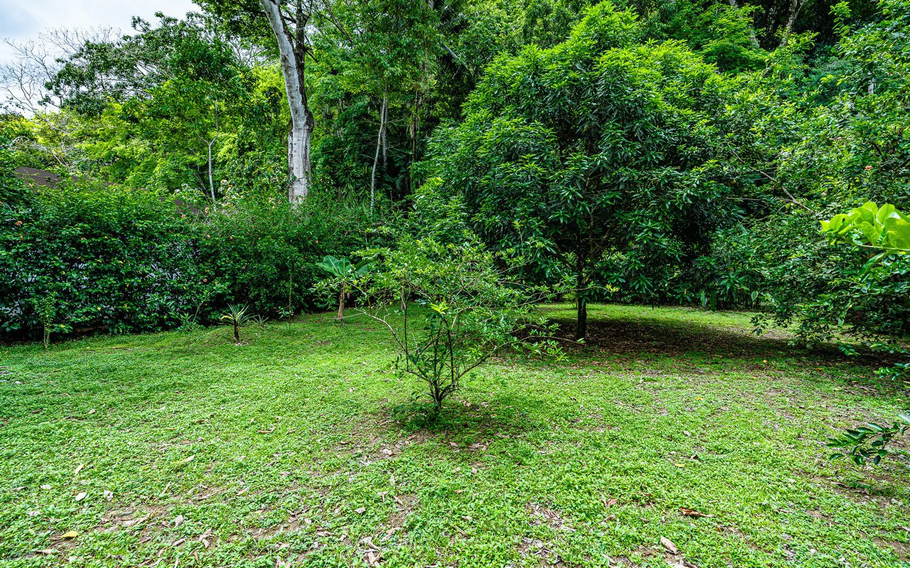 Riverfront Baru Estate Luxury Oasis Walkable to Playa Dominical - Gallery image 62