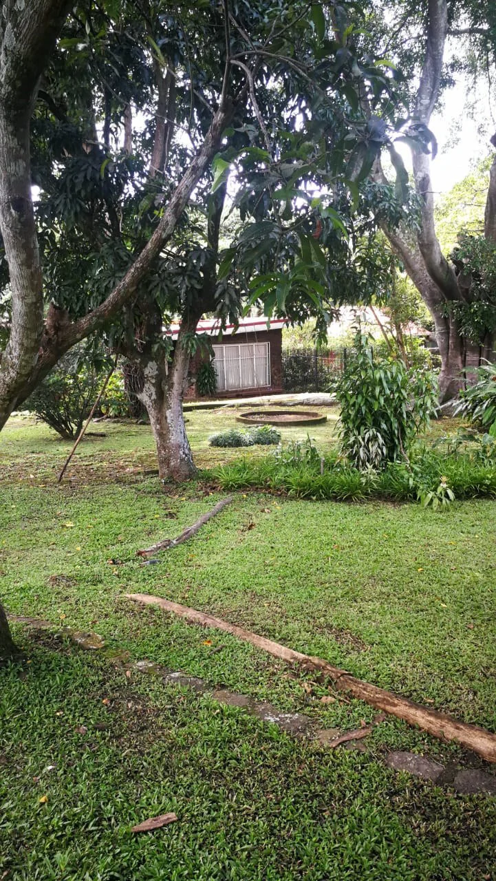 Home Construction Site For Sale in Escazú - Gallery image 3