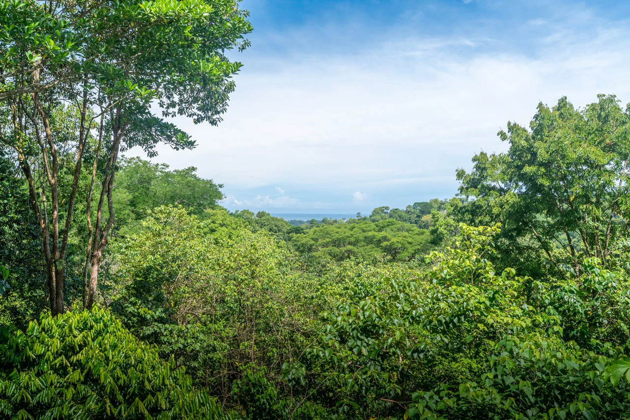 Prime Las Brisas: Mountain House For Sale in Uvita - Gallery image 28
