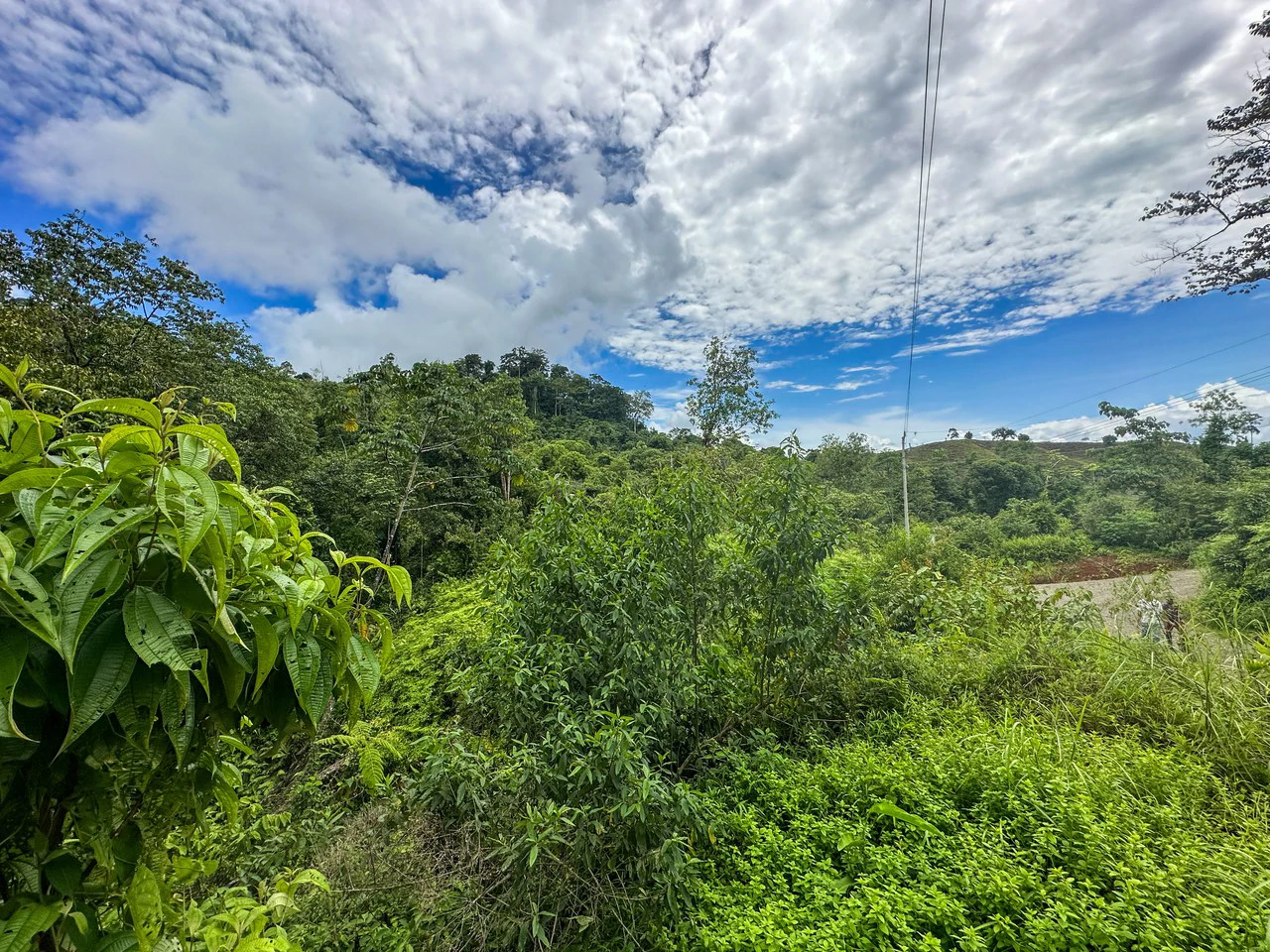 Costa Rican Gem with Conservation Potential: Preserve 26 Acres of Pristine Land - Gallery image 5