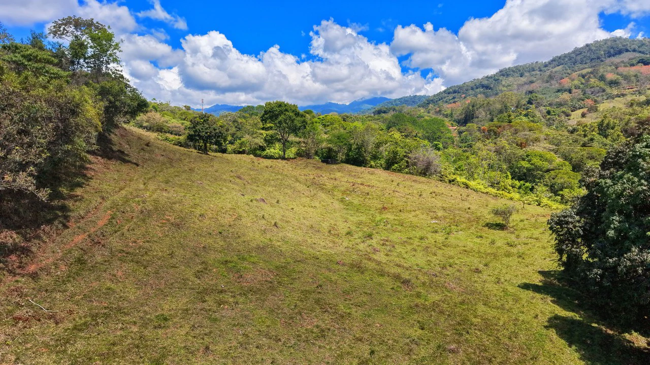 Agricultural Land For Sale in MORAZAN - Gallery image 11