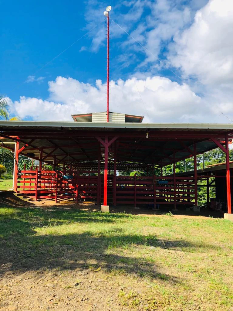 Professional Milk Factory for Sale with a big house in the mountains of Bijagua Costa Rica - Gallery image 19