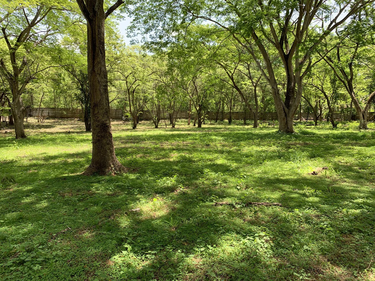 Conchal Bay: Ideal Lot To Build A Hotel Lodge By Conchal Beach