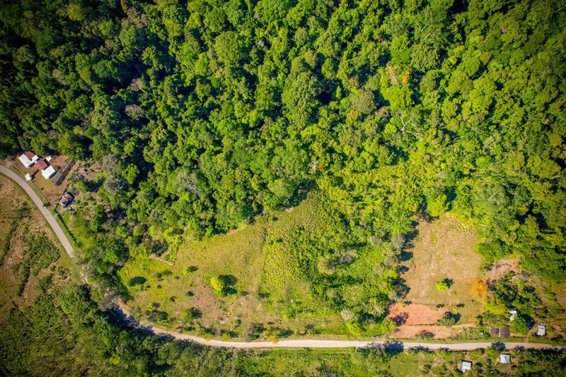 Ocean View & Primary forest 55-ha Rincon de Osa - Gallery image 33