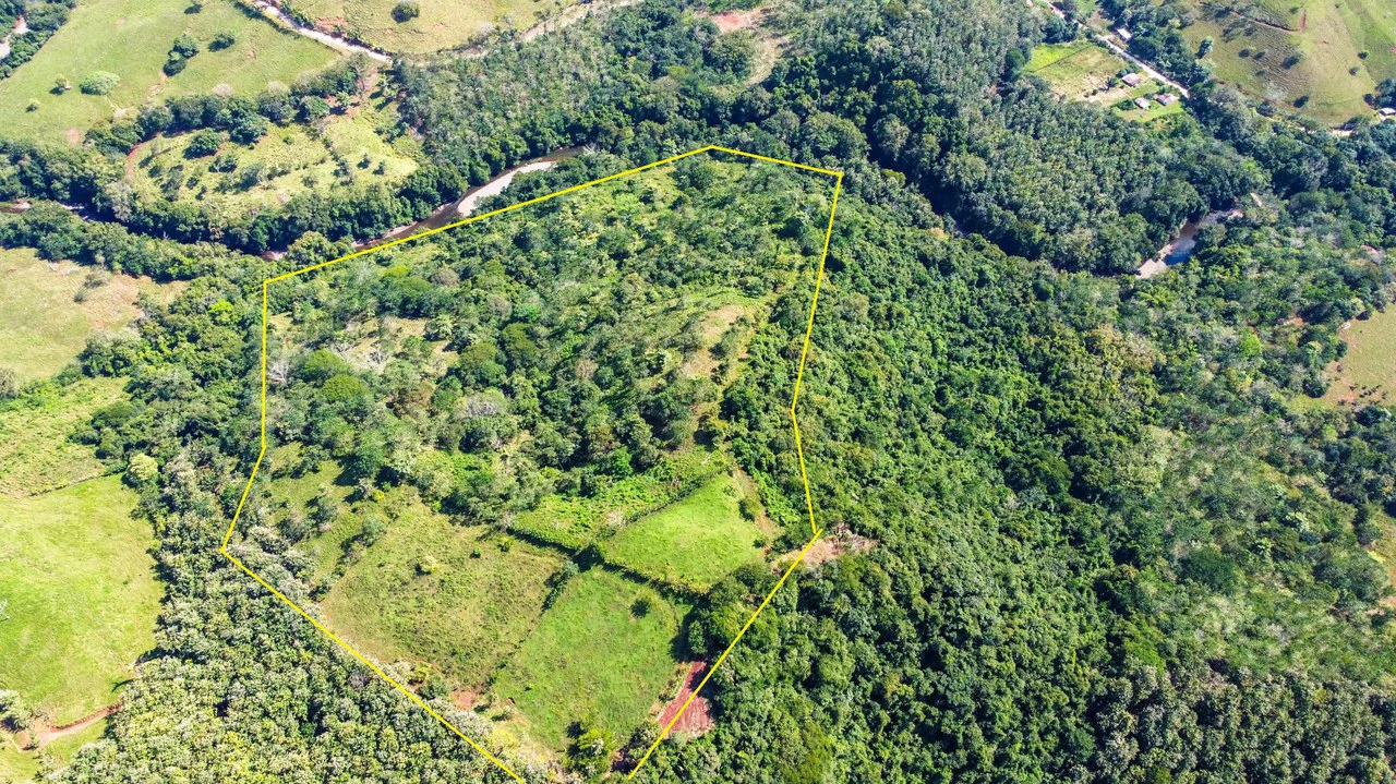 35 Acre Finca - A Natures Lover Or Developers Dream With Stunning Views