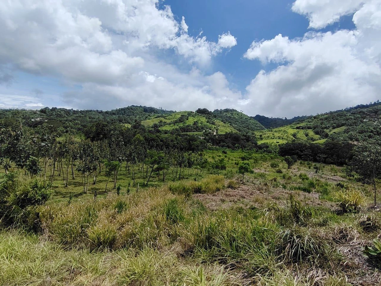 Se vende propiedad de 13494m2 en Rosario Pacuar, Pérez Zeledón.: Countryside Home Construction Site For Sale in El Rosario de Pacuar - Gallery image 2