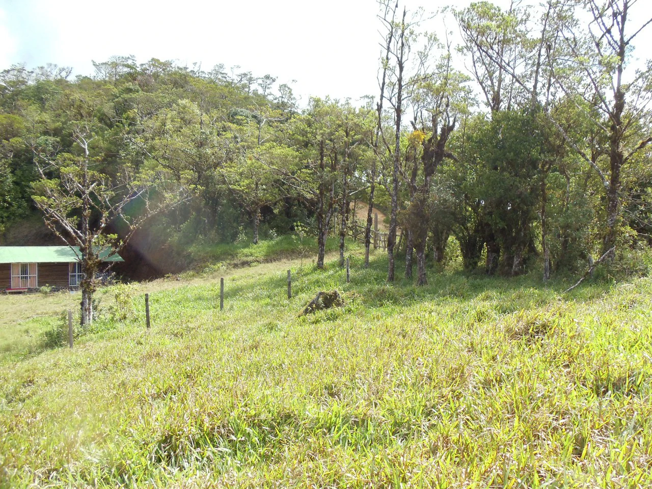 Fantastic property near Biological Reserve - Gallery image 11