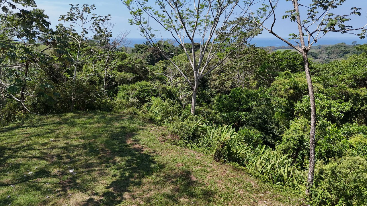 Exceptional Development Opportunity 71 acre Riverfront & Ocean View in Hatillo - Gallery image 20