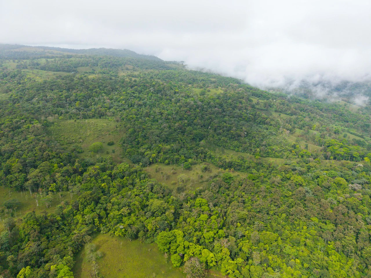 Finca Las Zompopas-Río Celeste: 113-Acre Biodiverse Property in Bijagua, Ideal for Eco-Tourism, Private Retreats, or Sustainable Development - Gallery image 31