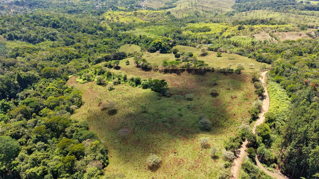 Agricultural Land For Sale in MORAZAN - Gallery image 9
