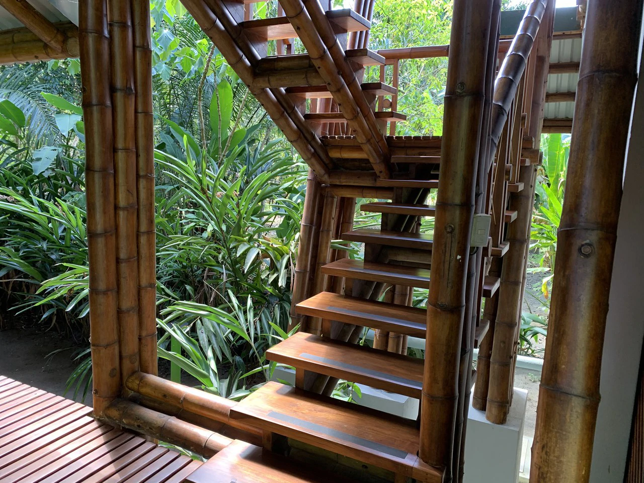 Jungle Beach Exotic Retreat - Gallery image 17