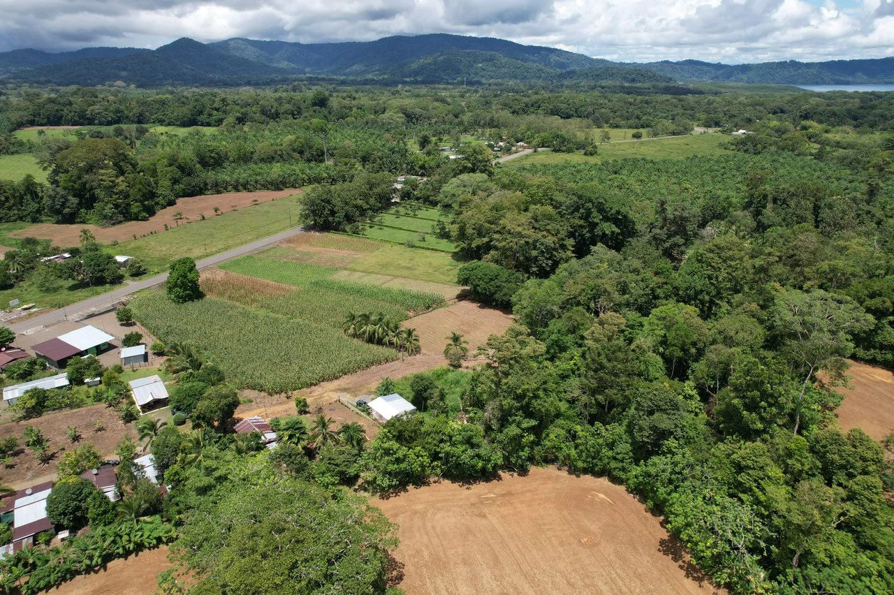 Finca La Palma, Puerto Jimenez: Excellent location ideal for development - Gallery image 10