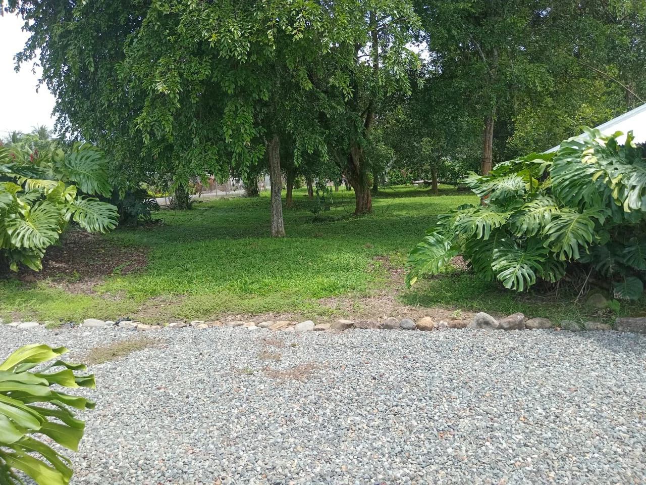 Farm home in Blanco: Ideal retirement farm at the foot of the rainforest - Gallery image 7