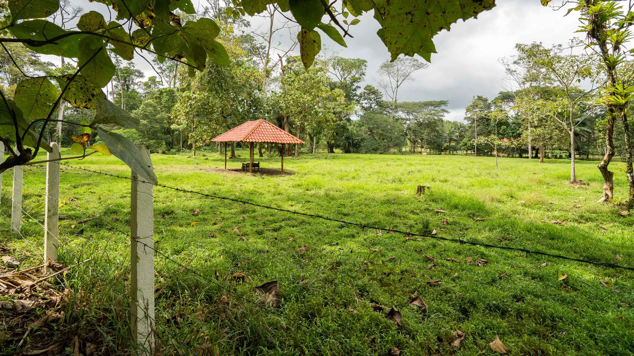 Stunning Tropical Home in Gated community with Hundreds of fruit trees: Mountain House For Sale in Naranjito - Gallery image 42