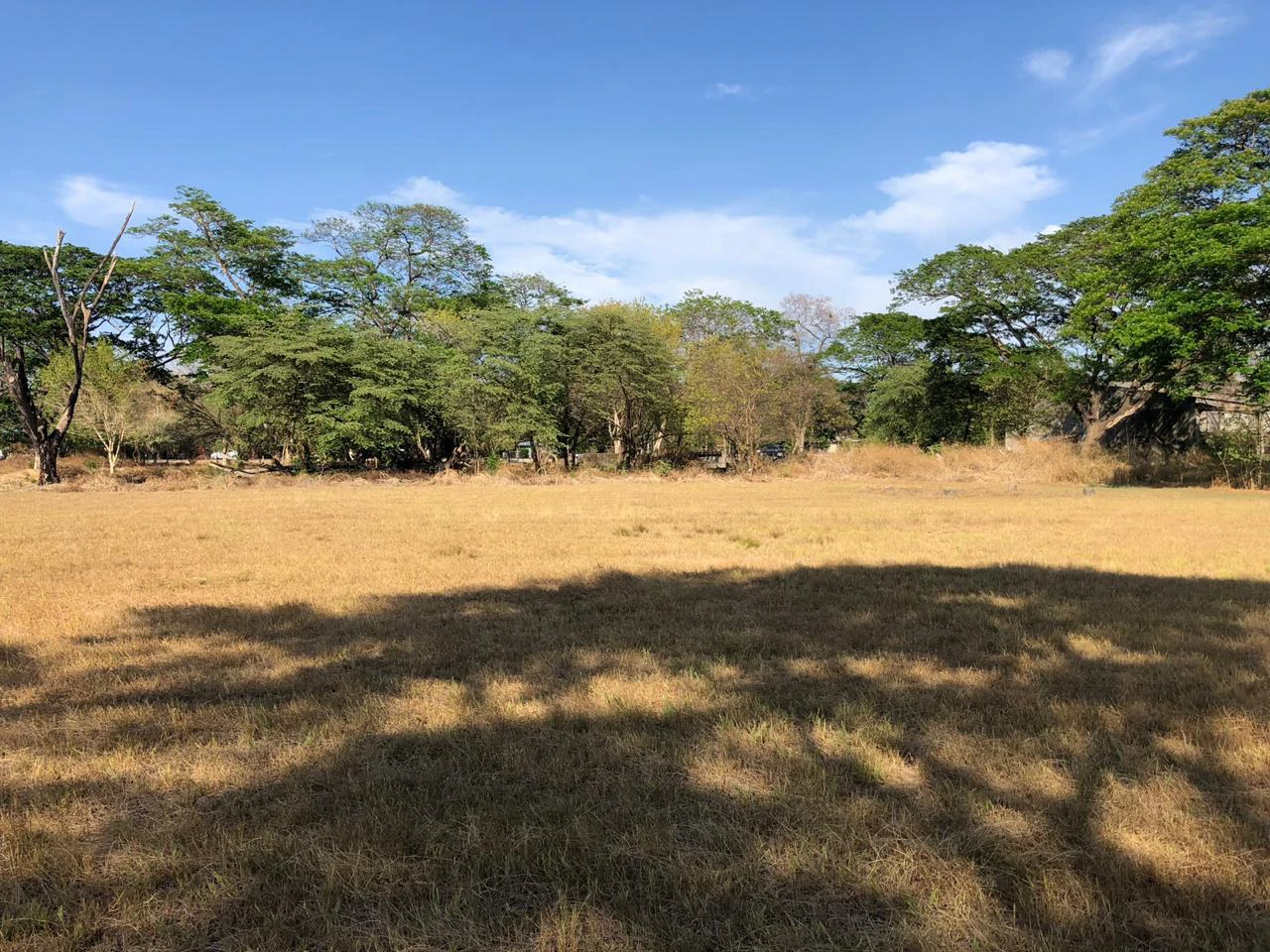 Large property with warehouses in Filadelfia, Carrillo - Gallery image 12