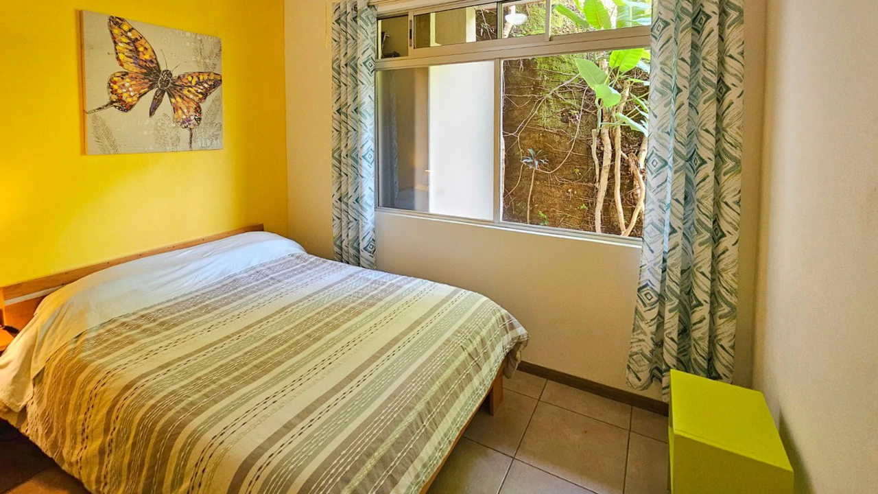 TURNKEY INVESTMENT PROPERTY IN GRECIA - Gallery image 17