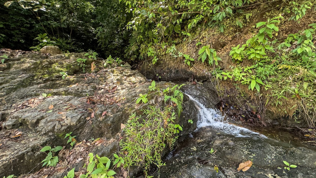 60+ Hectares in Platanillo | Own Your Own Mountain in Costa Rica - Gallery image 44