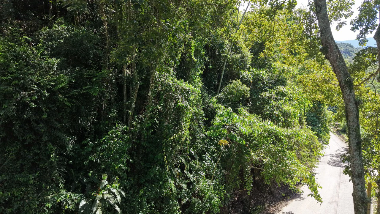 Countryside Home Construction Site For Sale in Guadalupe
