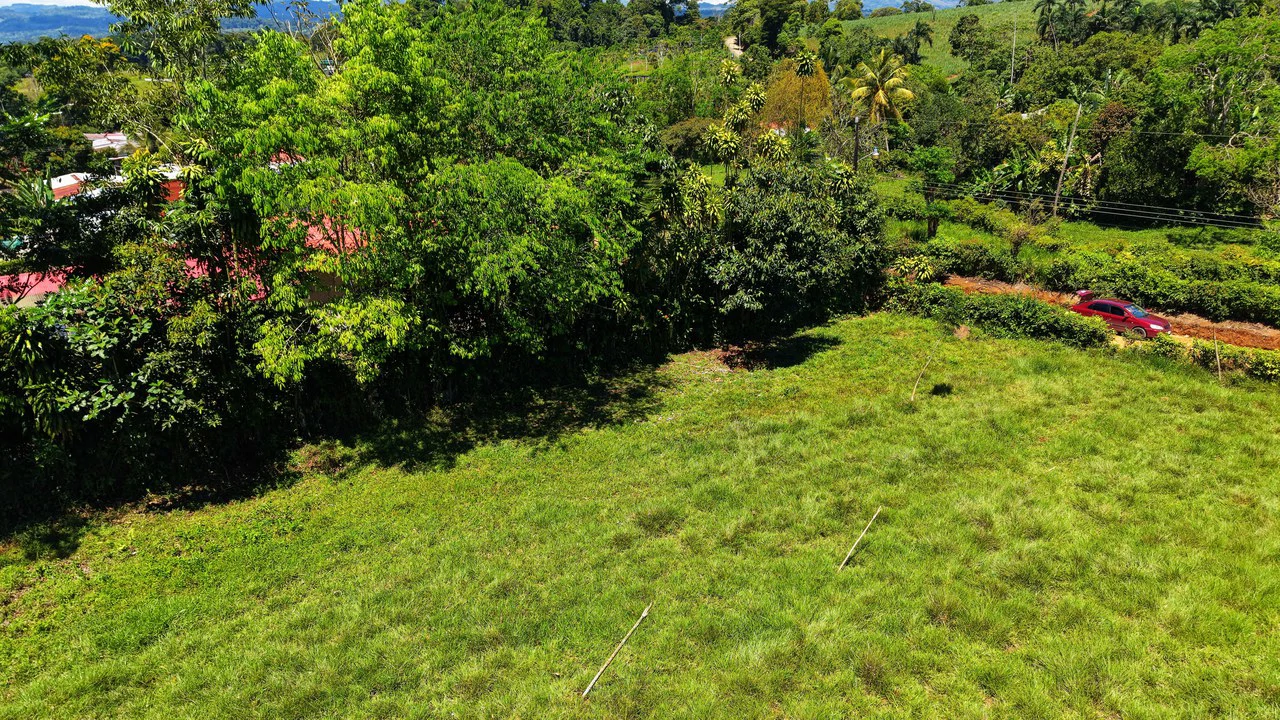 Countryside Home Construction Site For Sale in Daniel Flores - Gallery image 7