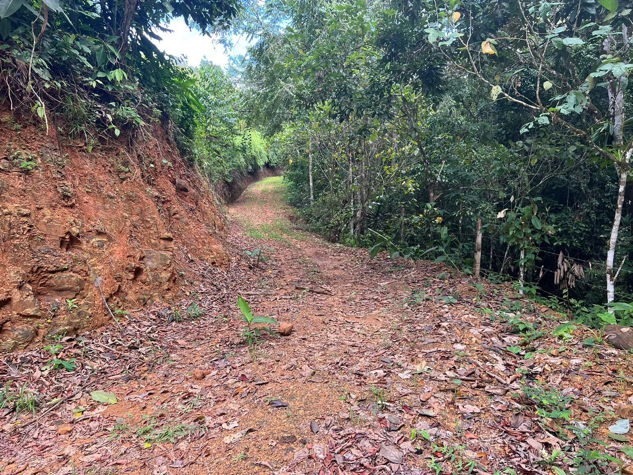 47 ACRES – Beautiful Mountain View Farm With Many Water Sources and Many Building Areas!!!! - Gallery image 14