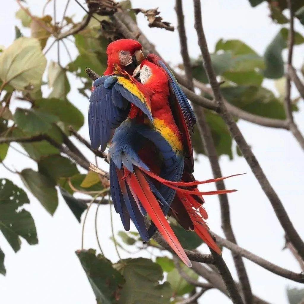 Your Slice of Paradise in Central Pacific Costa Rica! - Gallery image 8