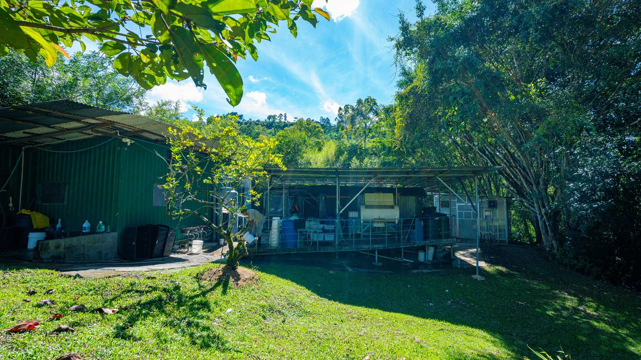 Riverfront Mushroom Farm & Private Waterfall Residence in Orosi - Gallery image 8
