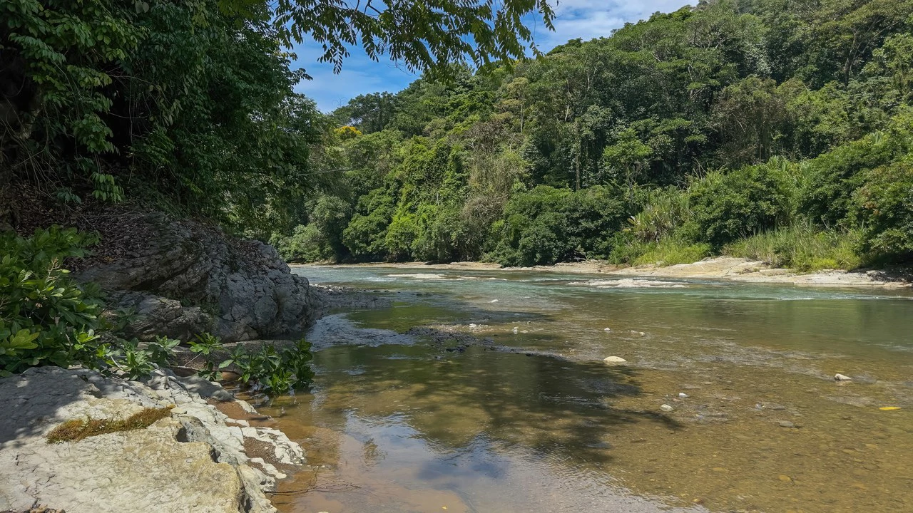 60+ Hectares in Platanillo | Own Your Own Mountain in Costa Rica - Gallery image 47