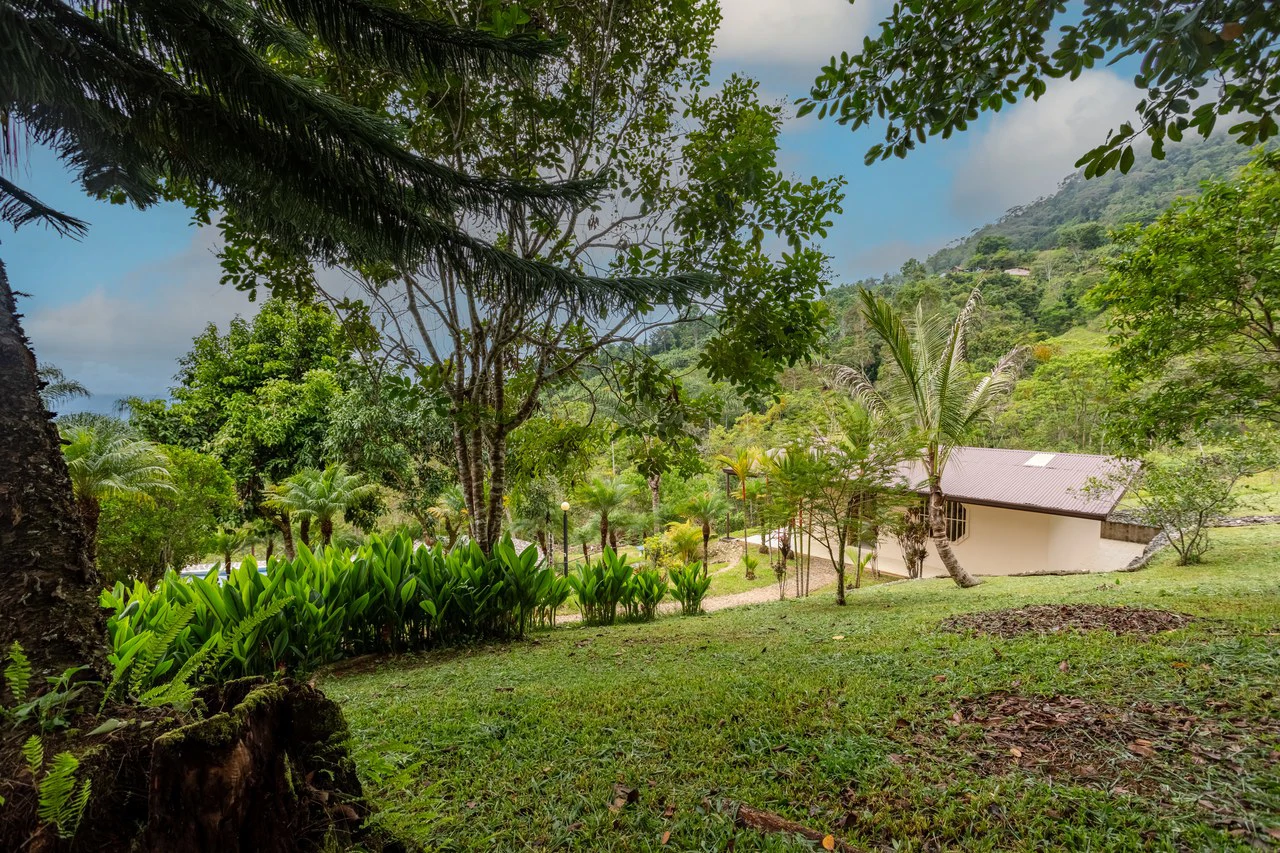Expansive 27 Acre Farm with Residence in San Isidro del General - Gallery image 29