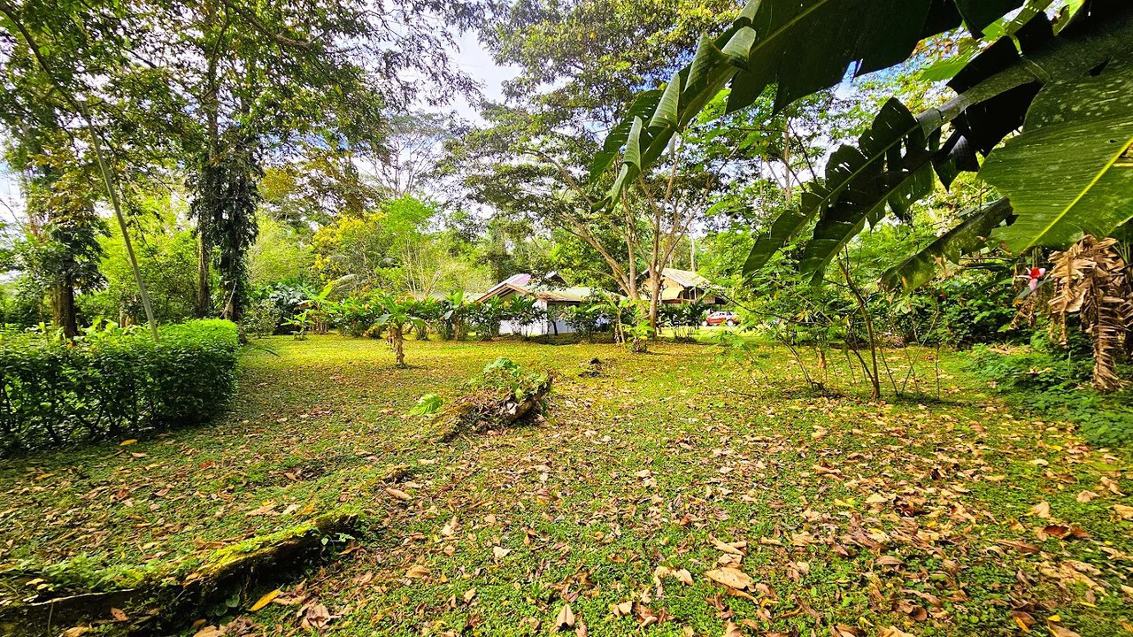 ID 4184: Four House Property near Cahuita,  3km from the Beach - Gallery image 21
