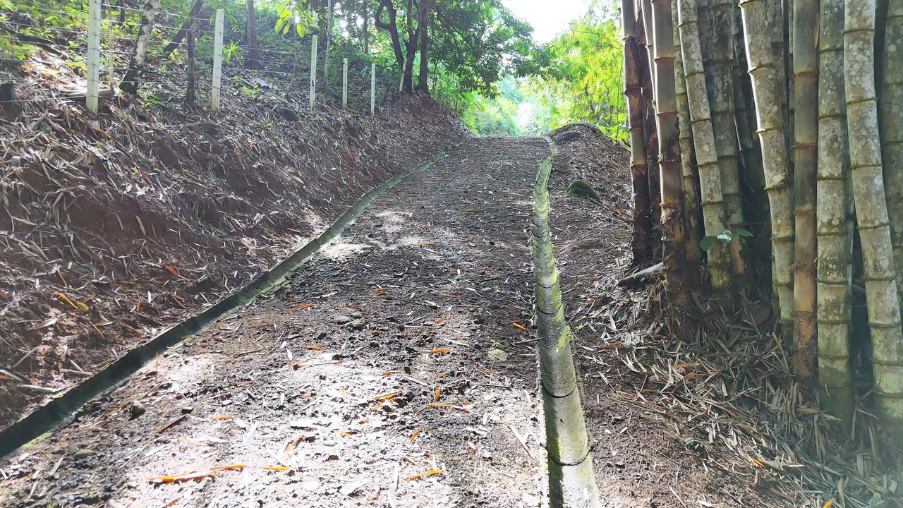 FINCA EN BARÚ GUSTAVO-149760: Mountain Agricultural Land For Sale in Barú - Gallery image 2