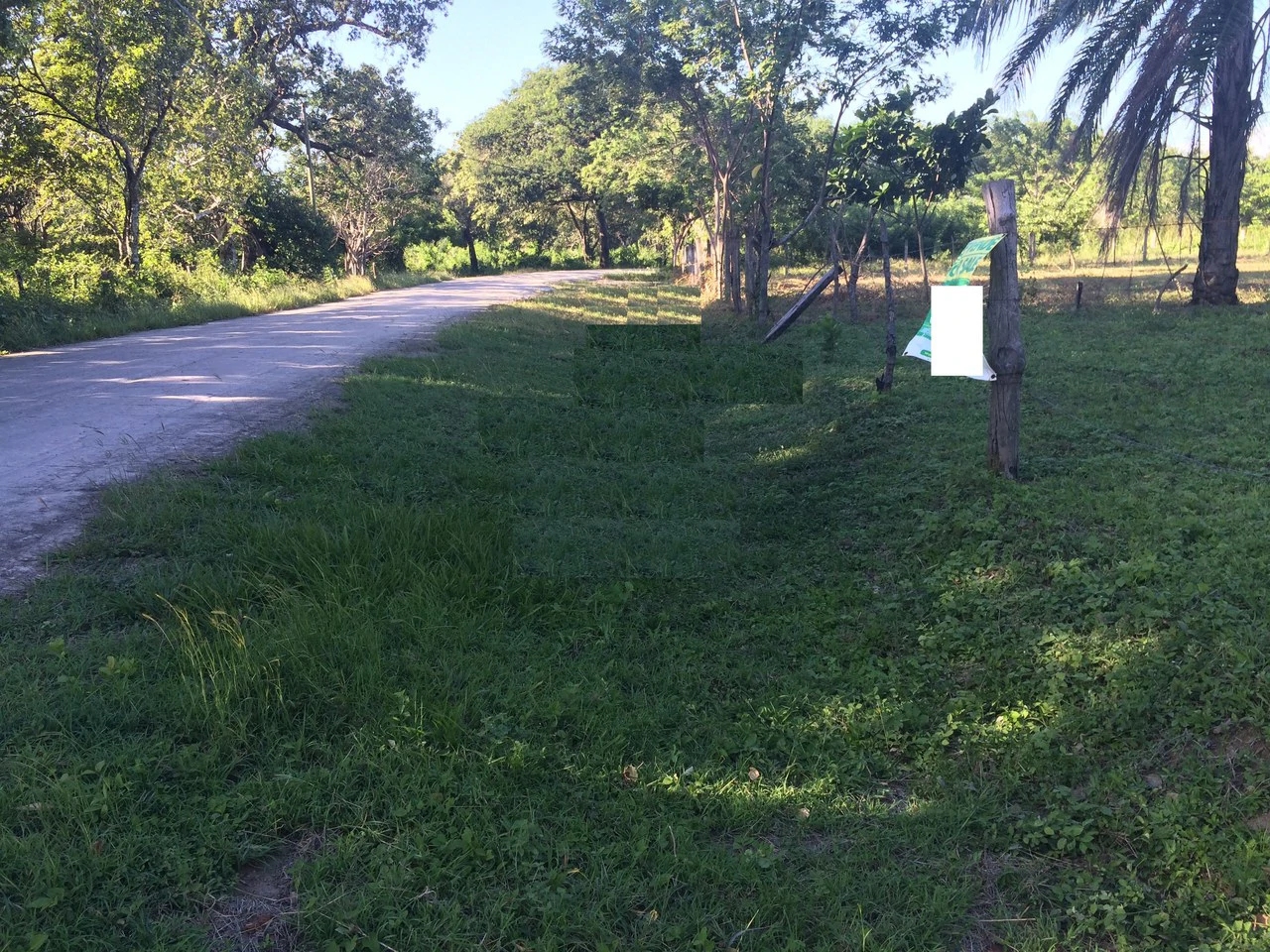 Precioso lote en Barrio La Cruz, Liberia: Building Lot for Sale in La Cruz – Flat Land Surrounded by Nature in a Peaceful Neighborhood - Gallery image 4